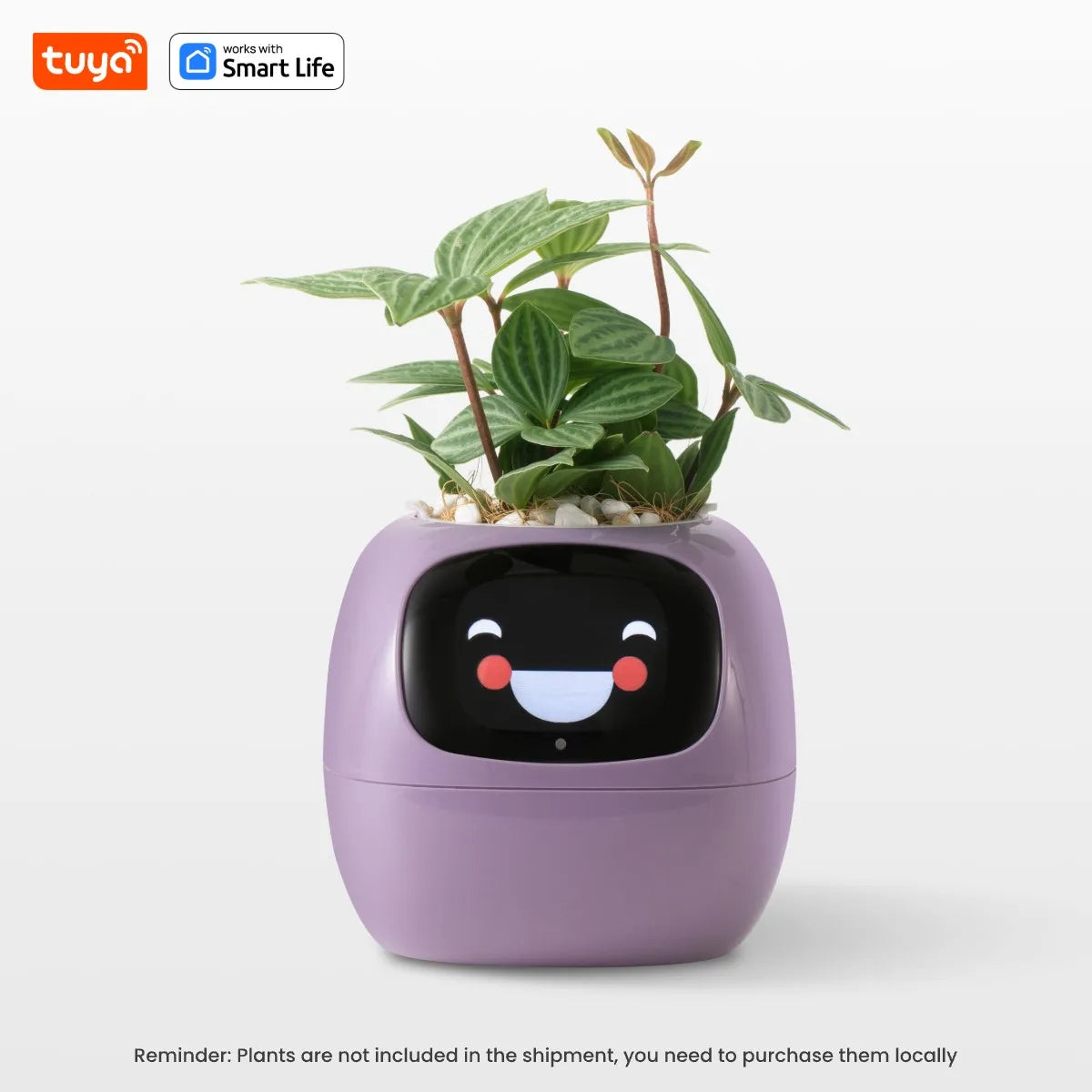PlantBuddy™ | Automatische, Interactieve Plantenverzorger