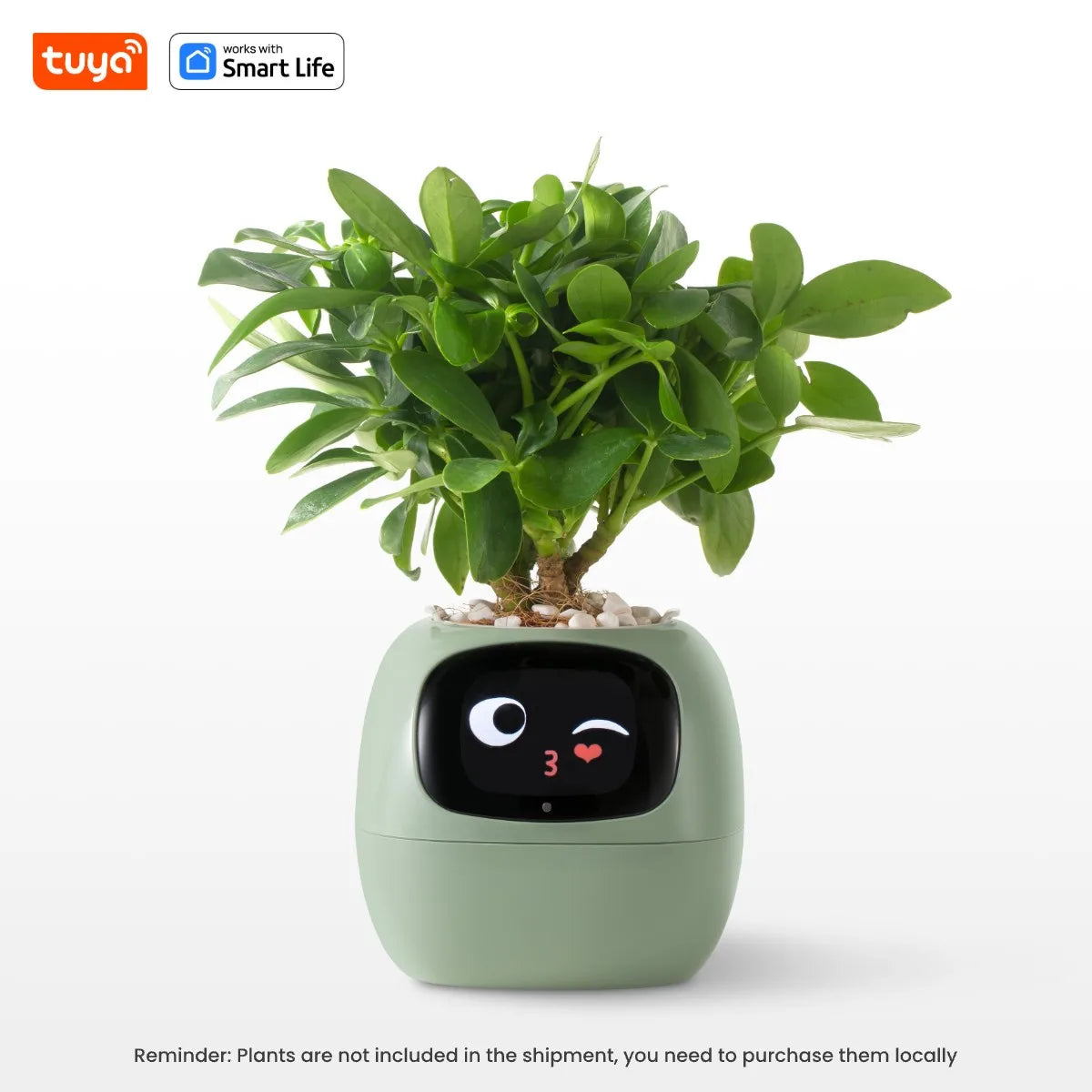 PlantBuddy™ | Automatische, Interactieve Plantenverzorger