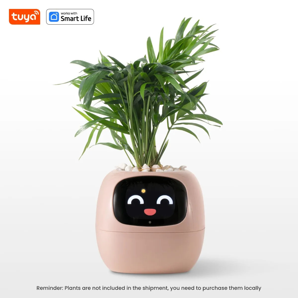 PlantBuddy™ | Automatische, Interactieve Plantenverzorger