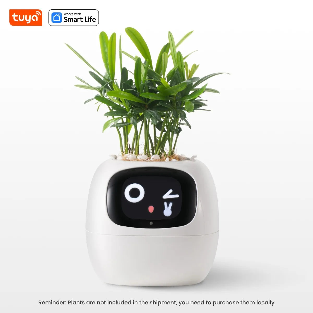 PlantBuddy™ | Automatische, Interactieve Plantenverzorger