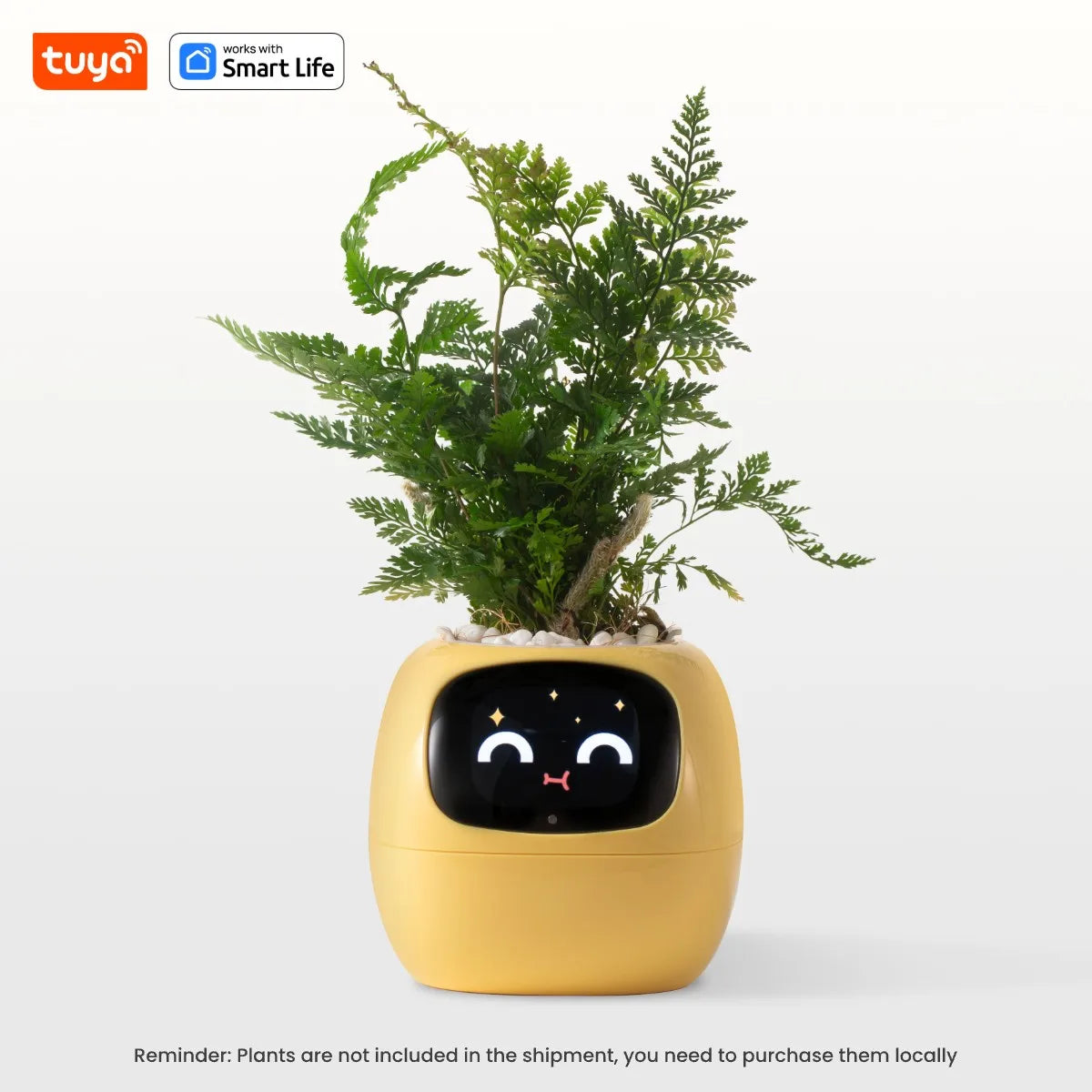 PlantBuddy™ | Automatische, Interactieve Plantenverzorger